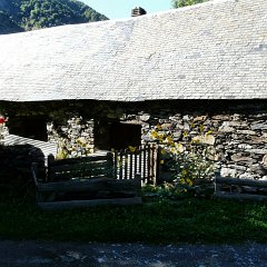 P1030002 (Copier)